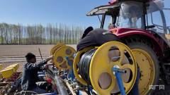 <strong>户可达20000元</strong>